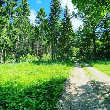 Góra Jabłek Mazury Mikolajki Lipowo (Mragowo)
